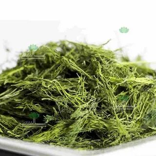 تصویر 3 از خرید و قیمت شوید خشک بلغور + فروش عمده